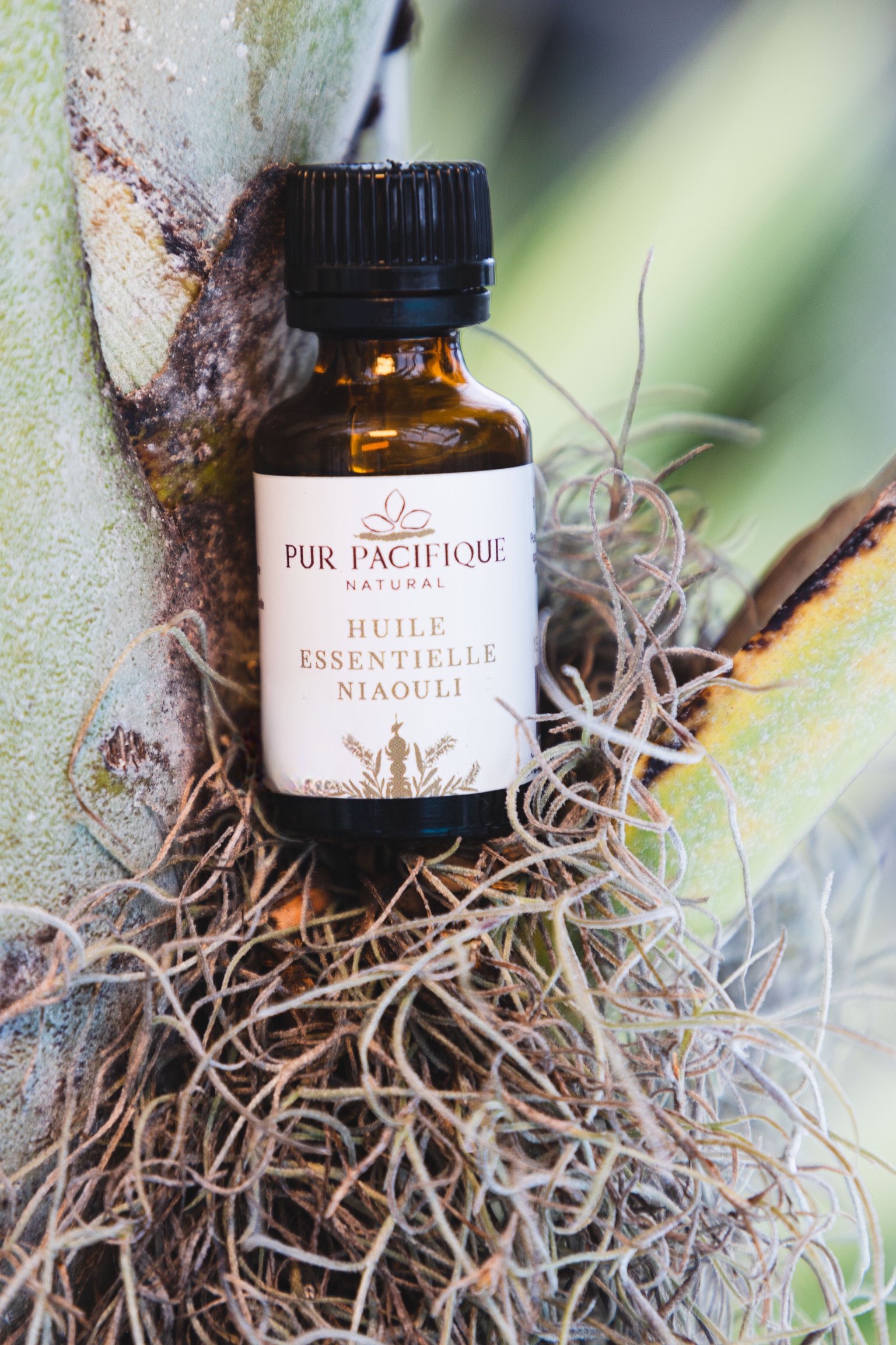 L´HUILE ESSENTIELLE DE NIAOULI 100% PURE BIO ET <br>D´ORIGINE NATURELLE - 15ML